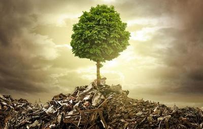 垃圾回收催生新職業(yè) 別因舊眼光錯過新風(fēng)口