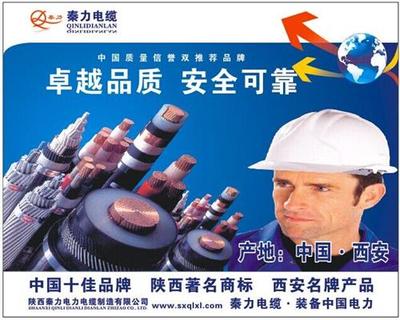 預(yù)分支電纜價(jià)格及陜西西安秦力電纜廠家介紹
